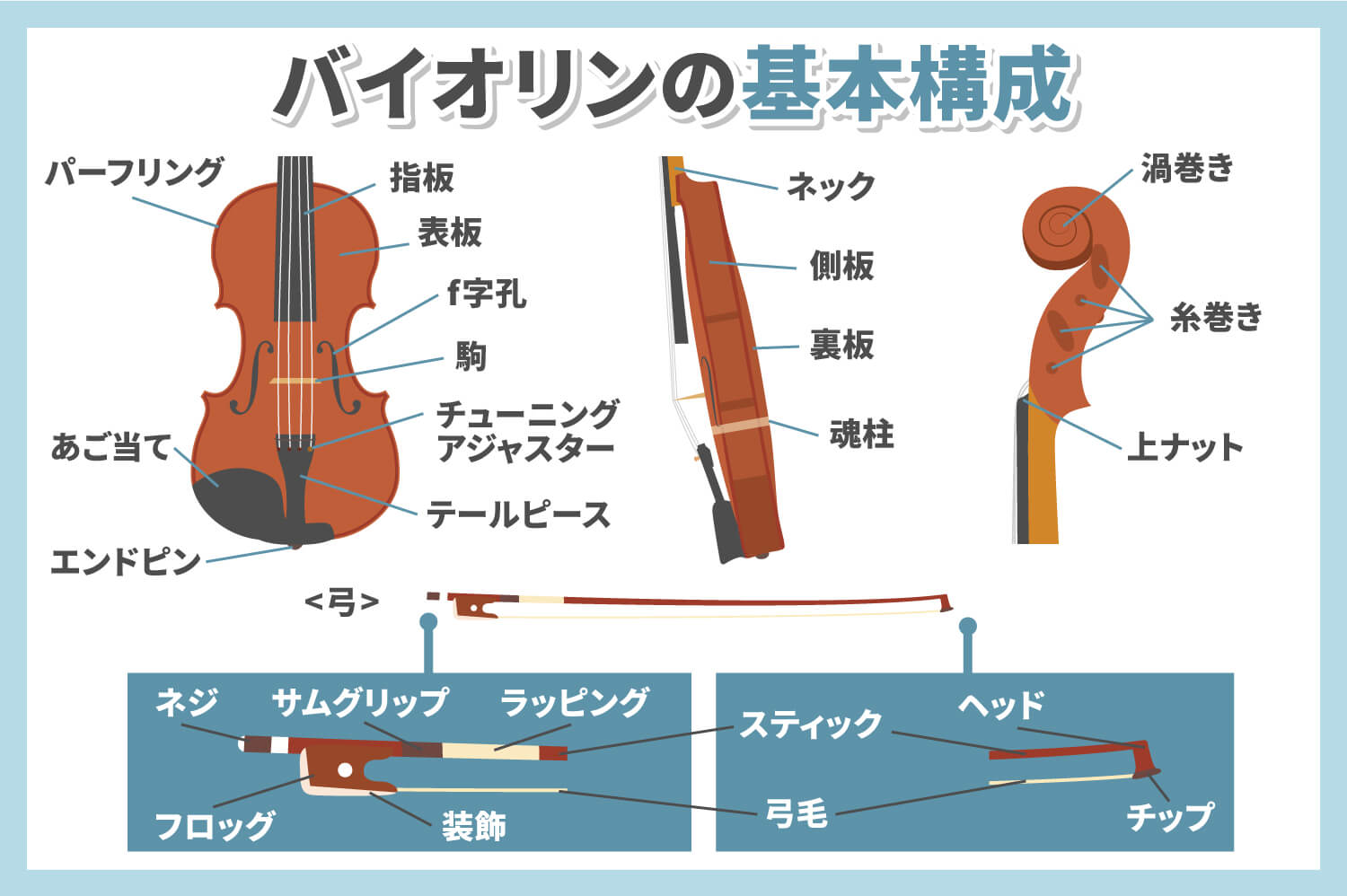 バイオリンの初心者におすすめの練習方法4選 大人になってからでも弾けるようになる 椿音楽教室
