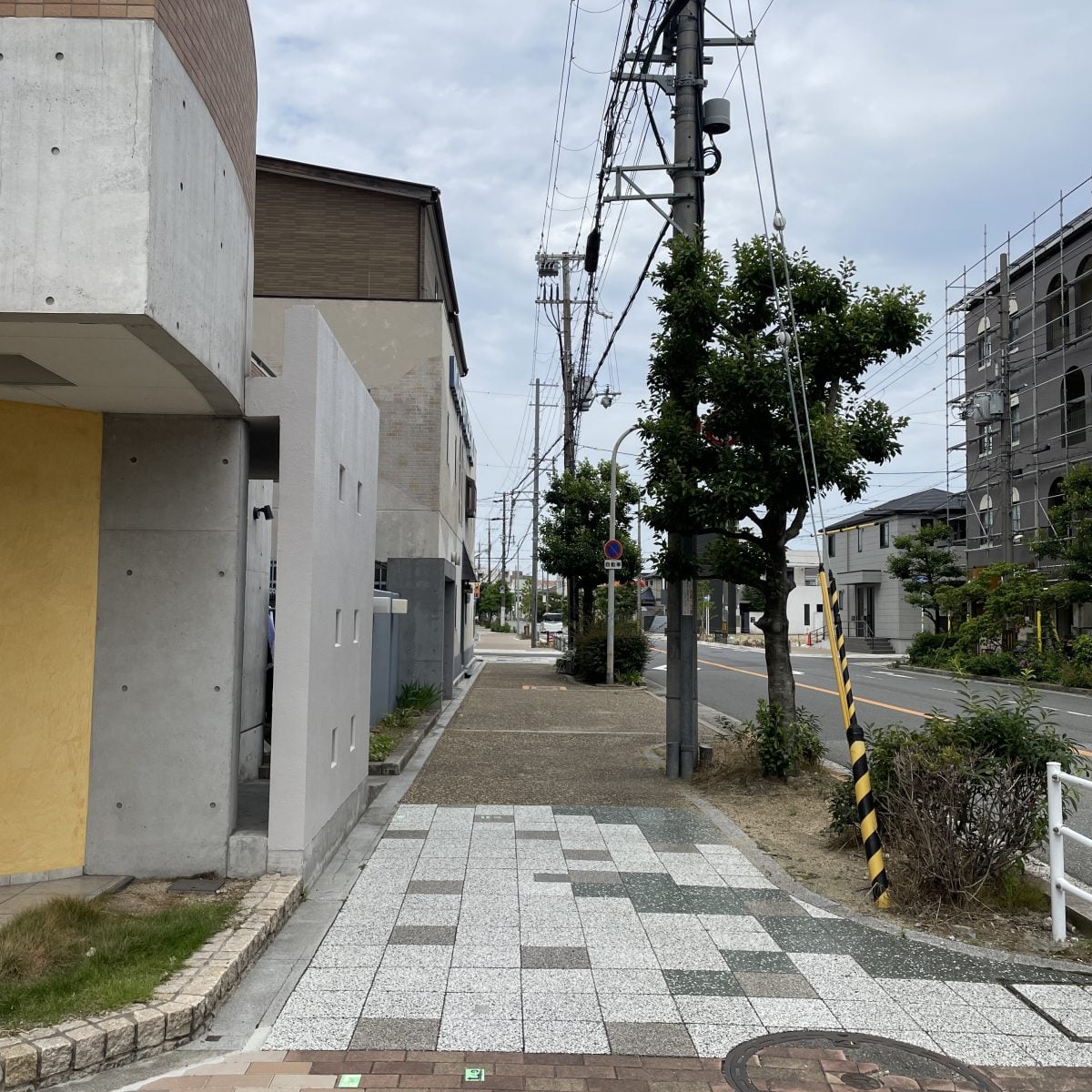 Studio You