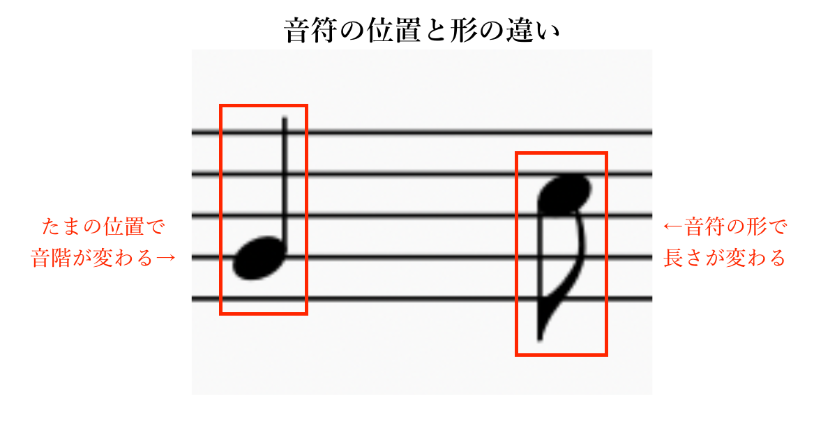 音符の位置と形の違い